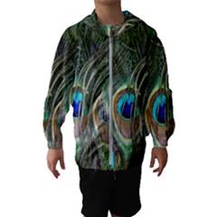 Peacock Feathers Peacock Bird Kids  Hooded Windbreaker