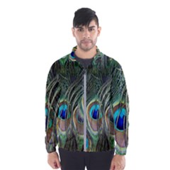 Peacock Feathers Peacock Bird Men s Windbreaker