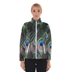 Peacock Feathers Peacock Bird Winter Jacket