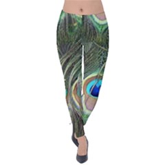 Peacock Feathers Peacock Bird Velvet Leggings