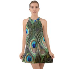 Peacock Feathers Peacock Bird Halter Tie Back Chiffon Dress