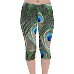 Peacock Feathers Peacock Bird Velvet Capri Leggings 