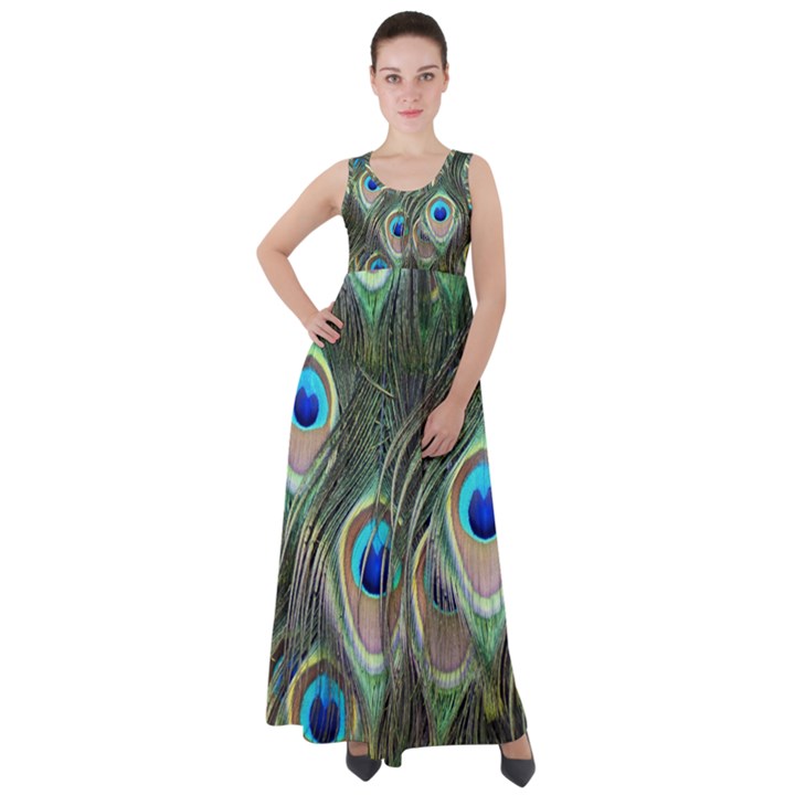 Peacock Feathers Peacock Bird Empire Waist Velour Maxi Dress