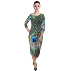 Peacock Feathers Peacock Bird Quarter Sleeve Midi Velour Bodycon Dress by Wegoenart