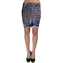 Peacock Bird Feather Plumage Green Bodycon Skirt by Wegoenart