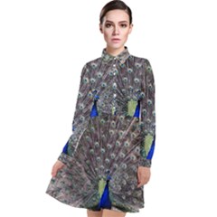 Peacock Bird Feather Plumage Green Long Sleeve Chiffon Shirt Dress