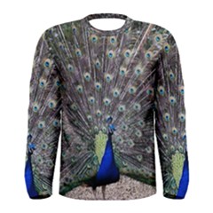 Peacock Bird Feather Plumage Green Men s Long Sleeve Tee by Wegoenart