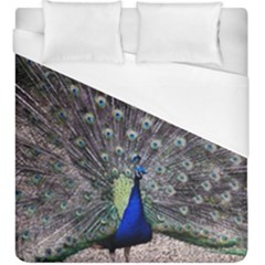 Peacock Bird Feather Plumage Green Duvet Cover (king Size)