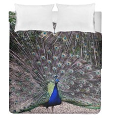 Peacock Bird Feather Plumage Green Duvet Cover Double Side (queen Size) by Wegoenart