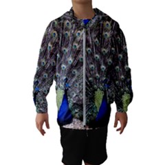 Peacock Bird Feather Plumage Green Kids  Hooded Windbreaker