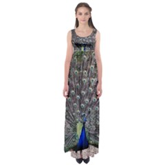 Peacock Bird Feather Plumage Green Empire Waist Maxi Dress by Wegoenart