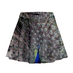 Peacock Bird Feather Plumage Green Mini Flare Skirt by Wegoenart