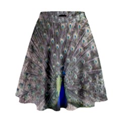 Peacock Bird Feather Plumage Green High Waist Skirt by Wegoenart