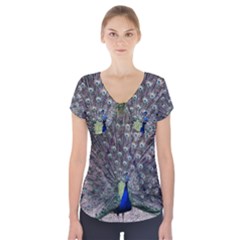 Peacock Bird Feather Plumage Green Short Sleeve Front Detail Top by Wegoenart