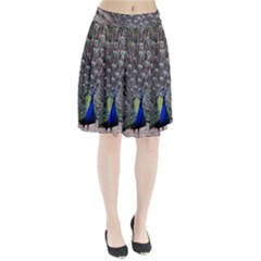 Peacock Bird Feather Plumage Green Pleated Skirt by Wegoenart