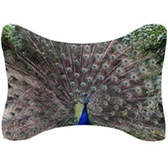 Peacock Bird Feather Plumage Green Seat Head Rest Cushion by Wegoenart