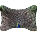 Peacock Bird Feather Plumage Green Seat Head Rest Cushion View1