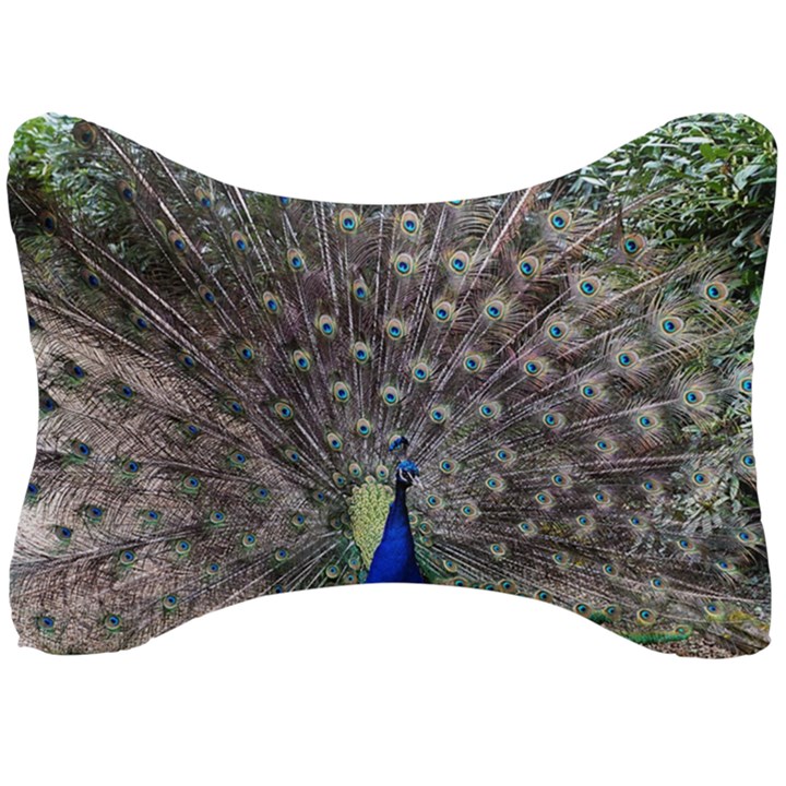 Peacock Bird Feather Plumage Green Seat Head Rest Cushion