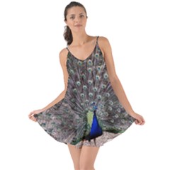 Peacock Bird Feather Plumage Green Love The Sun Cover Up