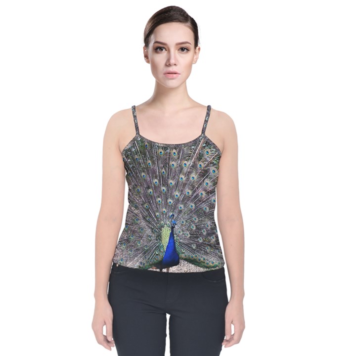 Peacock Bird Feather Plumage Green Velvet Spaghetti Strap Top