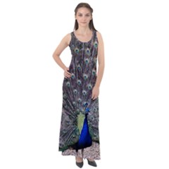 Peacock Bird Feather Plumage Green Sleeveless Velour Maxi Dress