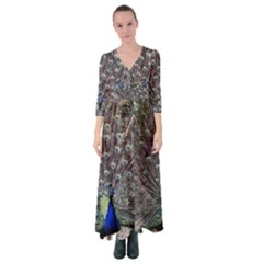 Peacock Bird Feather Plumage Green Button Up Maxi Dress