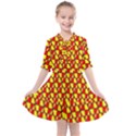 Rby 27 Kids  All Frills Chiffon Dress View1