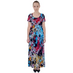 Paint Me Down 4 High Waist Short Sleeve Maxi Dress