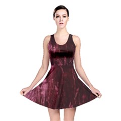 Grasmere Red Reversible Skater Dress by DeneWestUK