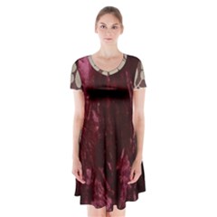 Grasmere Red Alt 1 Short Sleeve V-neck Flare Dress