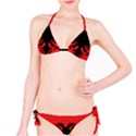 Albania Flag Classic Bikini Set View1