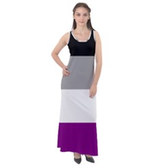 Asexual Pride Flag Lgbtq Sleeveless Velour Maxi Dress by lgbtnation