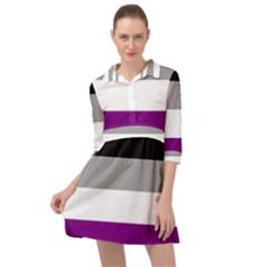 Asexual Pride Flag Lgbtq Mini Skater Shirt Dress by lgbtnation