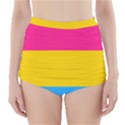 Pansexual Pride Flag High-Waisted Bikini Bottoms View1