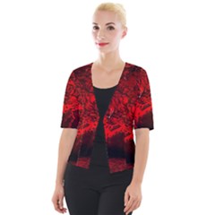 Planet Hell Hell Mystical Fantasy Cropped Button Cardigan by Pakrebo