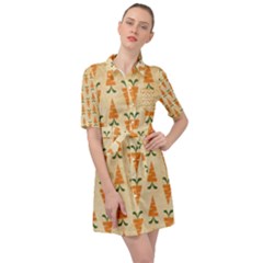 Patter Carrot Pattern Carrot Print Belted Shirt Dress by Pakrebo