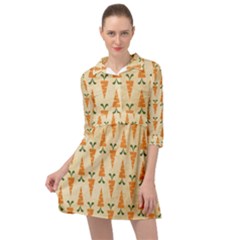 Patter Carrot Pattern Carrot Print Mini Skater Shirt Dress by Pakrebo