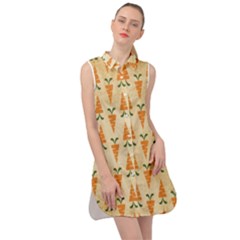 Patter Carrot Pattern Carrot Print Sleeveless Shirt Dress by Pakrebo