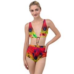 Color Background Structure Lines Tied Up Two Piece Swimsuit by Pakrebo