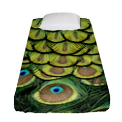 Peacock Feathers Peacock Bird Fitted Sheet (single Size) by Pakrebo