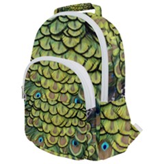 Peacock Feathers Peacock Bird Rounded Multi Pocket Backpack by Pakrebo