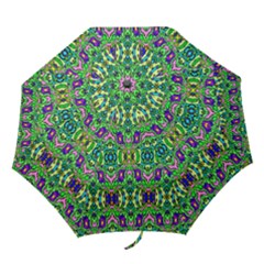 Hs Co 8 Folding Umbrellas by ArtworkByPatrick