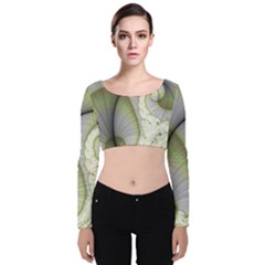 Graphic Fractal Eddy Curlicue Leaf Velvet Long Sleeve Crop Top by Pakrebo