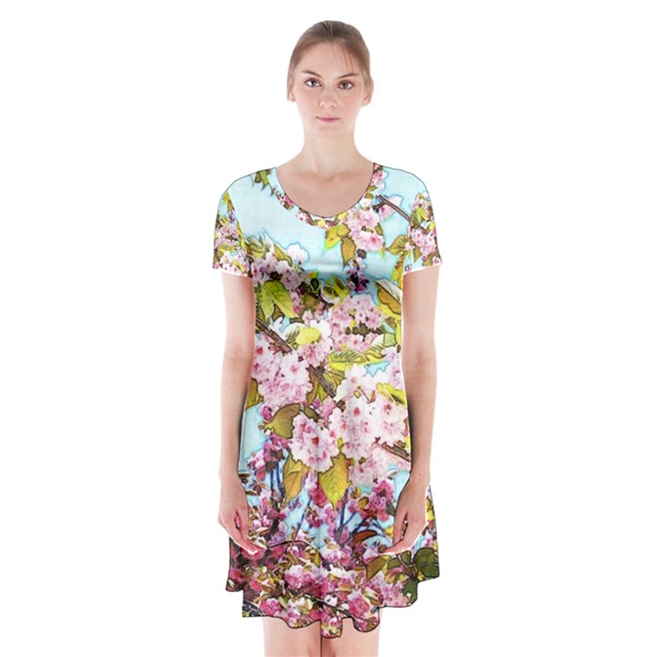 Spring Pink Floral Blue Sky Short Sleeve V-neck Flare Dress