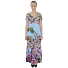 Spring Pink Floral Blue Sky High Waist Short Sleeve Maxi Dress by CashewDress