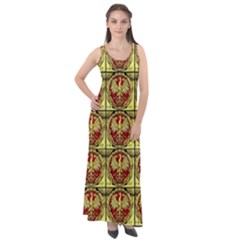 Polish Bank Note Sleeveless Velour Maxi Dress