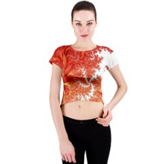 Flora Flowers Background Leaf Crew Neck Crop Top by Pakrebo