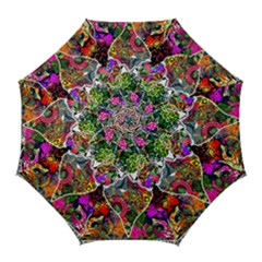 Design 2 Golf Umbrellas by TajahOlsonDesigns