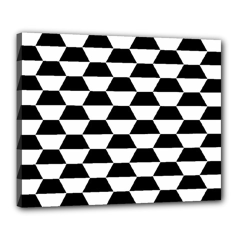 Hexagons Pattern Tessellation Canvas 20  X 16  (stretched) by Mariart