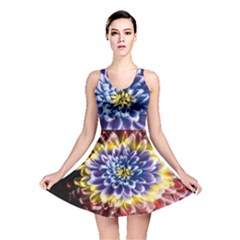 Rainbow Chrysanthemum Reversible Skater Dress by bloomingvinedesign